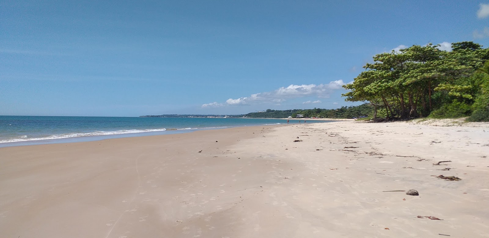 Foto di Praia do Itacimirim con molto pulita livello di pulizia
