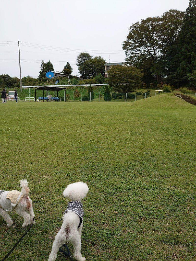 犬都記念公園ドッグラン