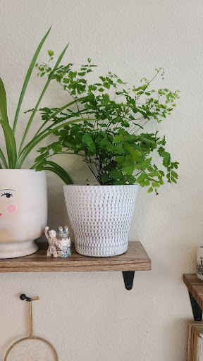 Home Improvement Store «The Home Depot», reviews and photos, 8000 Folsom Blvd, Sacramento, CA 95826, USA