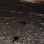 Photo n°2 de l'avis de Alessandro.h fait le 31/01/2022 à 09:08 sur le  Hotel Bellamonte à Predazzo