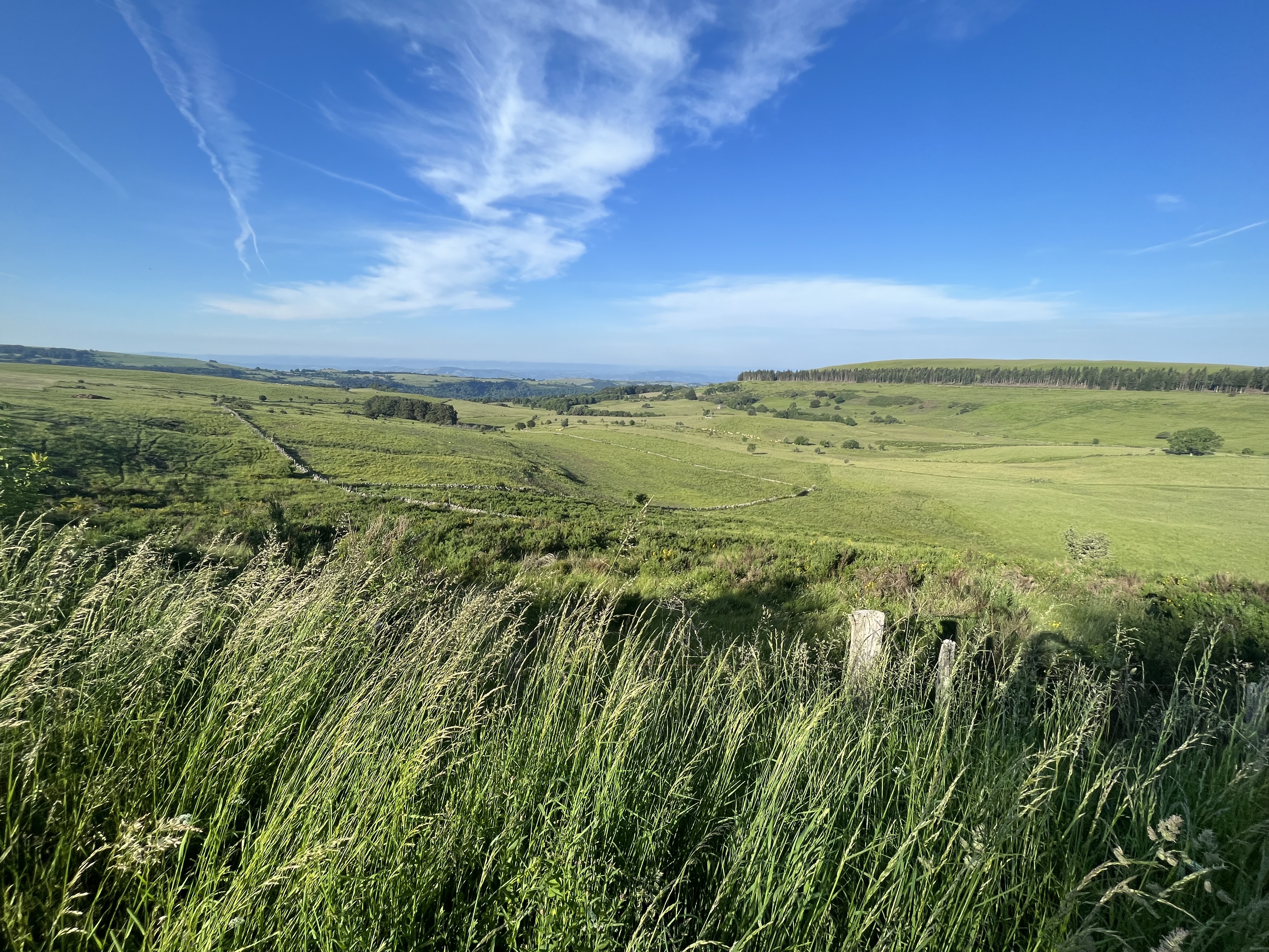 Photo n° 5 de l'avis de JM. fait le 20/06/2023 à 16:59
