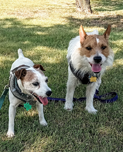 Park «Brown Singleton Park», reviews and photos, Farley St, Waxahachie, TX 75165, USA