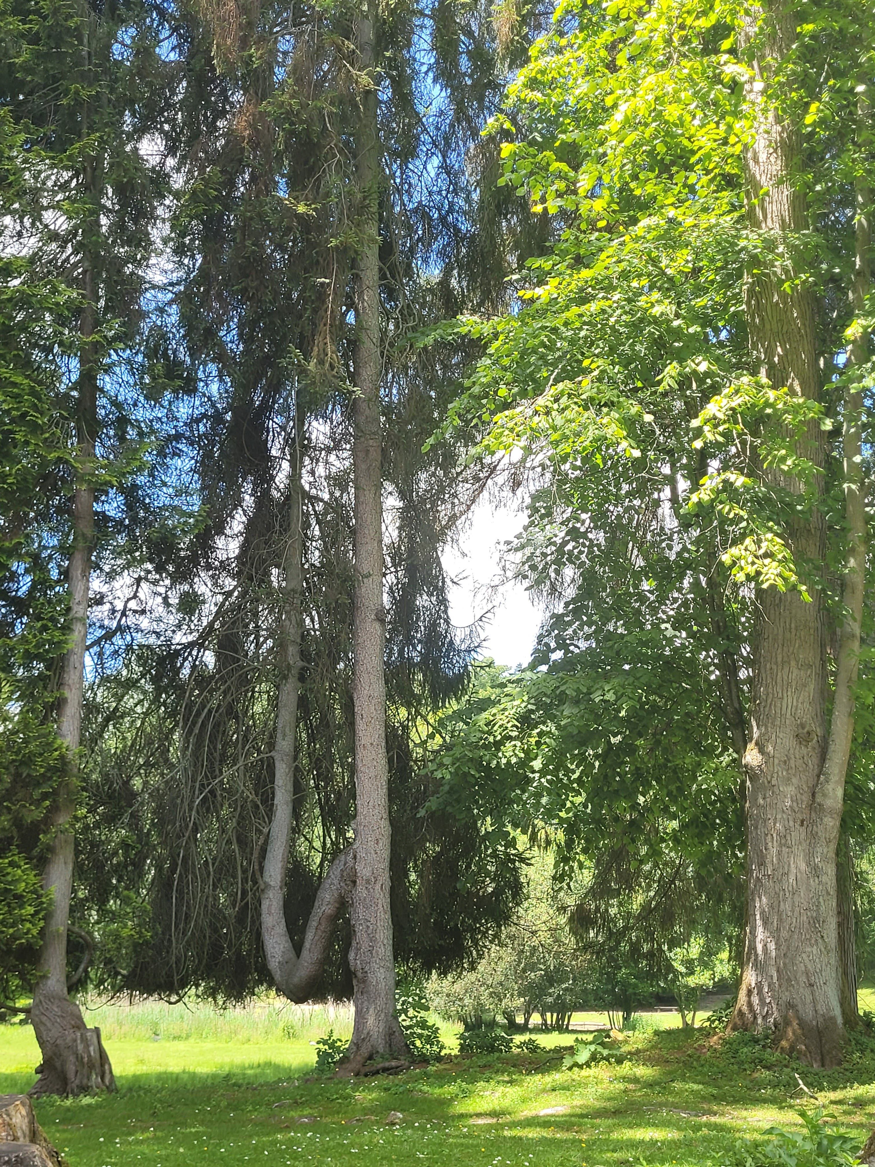 Photo n° 4 de l'avis de Vero.o fait le 14/06/2022 à 11:47