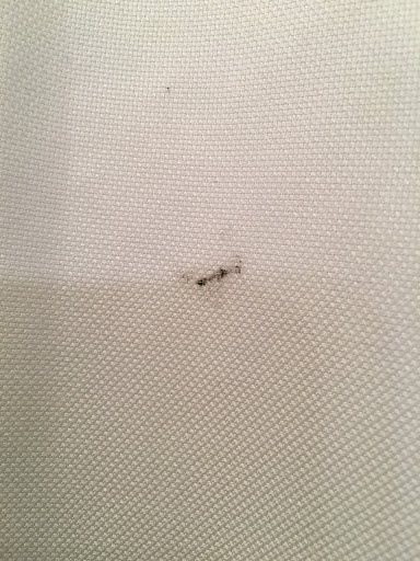 Dry Cleaner «Dry Clean A2Z», reviews and photos, 6307 Dalrock Rd, Rowlett, TX 75088, USA