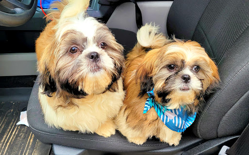 Pet Supply Store «PetSmart», reviews and photos, 2347 N Telegraph Rd, Monroe, MI 48162, USA