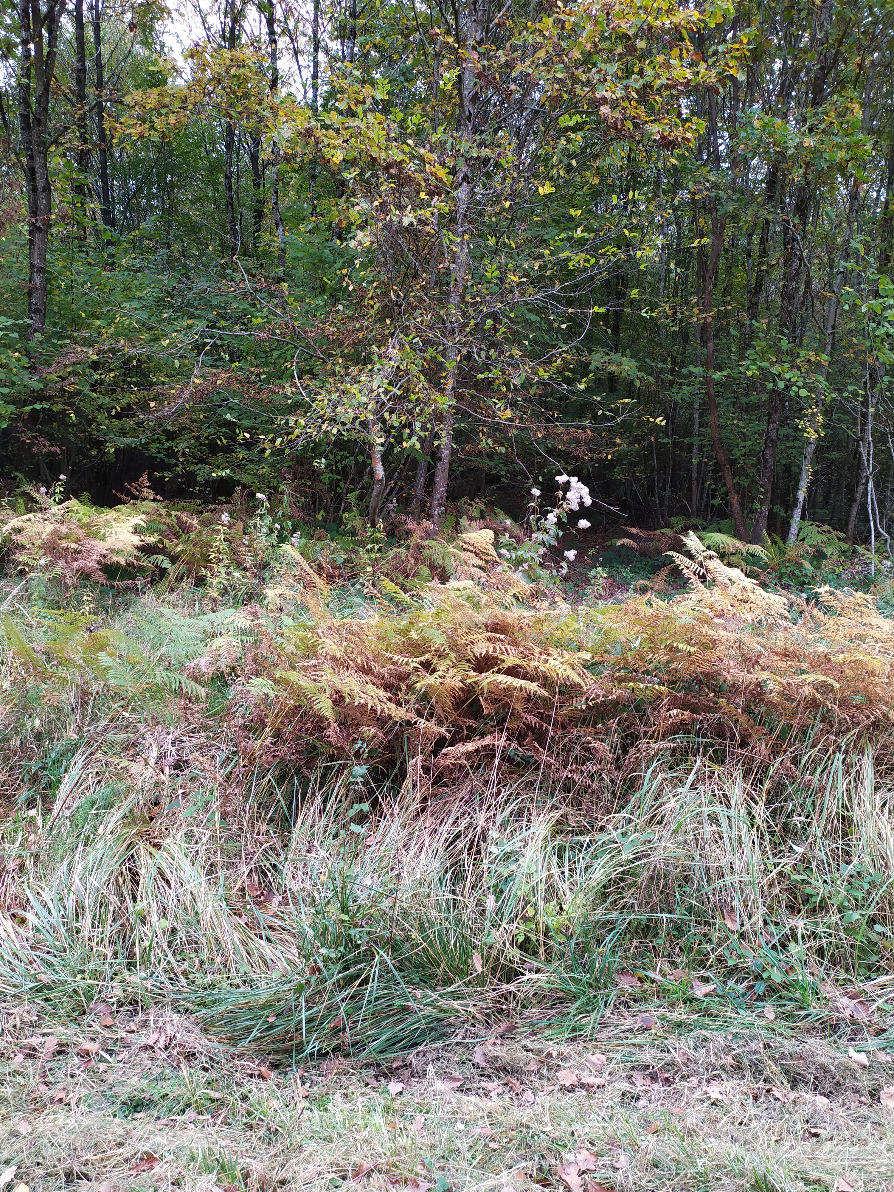 Photo n° 2 de l'avis de Sandrine.e fait le 05/11/2019 à 08:27