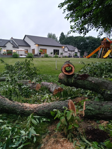 Tree Service «Polgar Tree Service & Removal LLC», reviews and photos