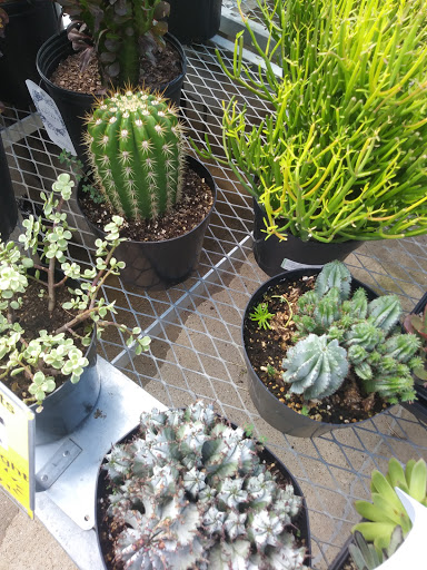 Home Improvement Store «The Home Depot», reviews and photos, 800 Truse Rd, Memphis, TN 38117, USA