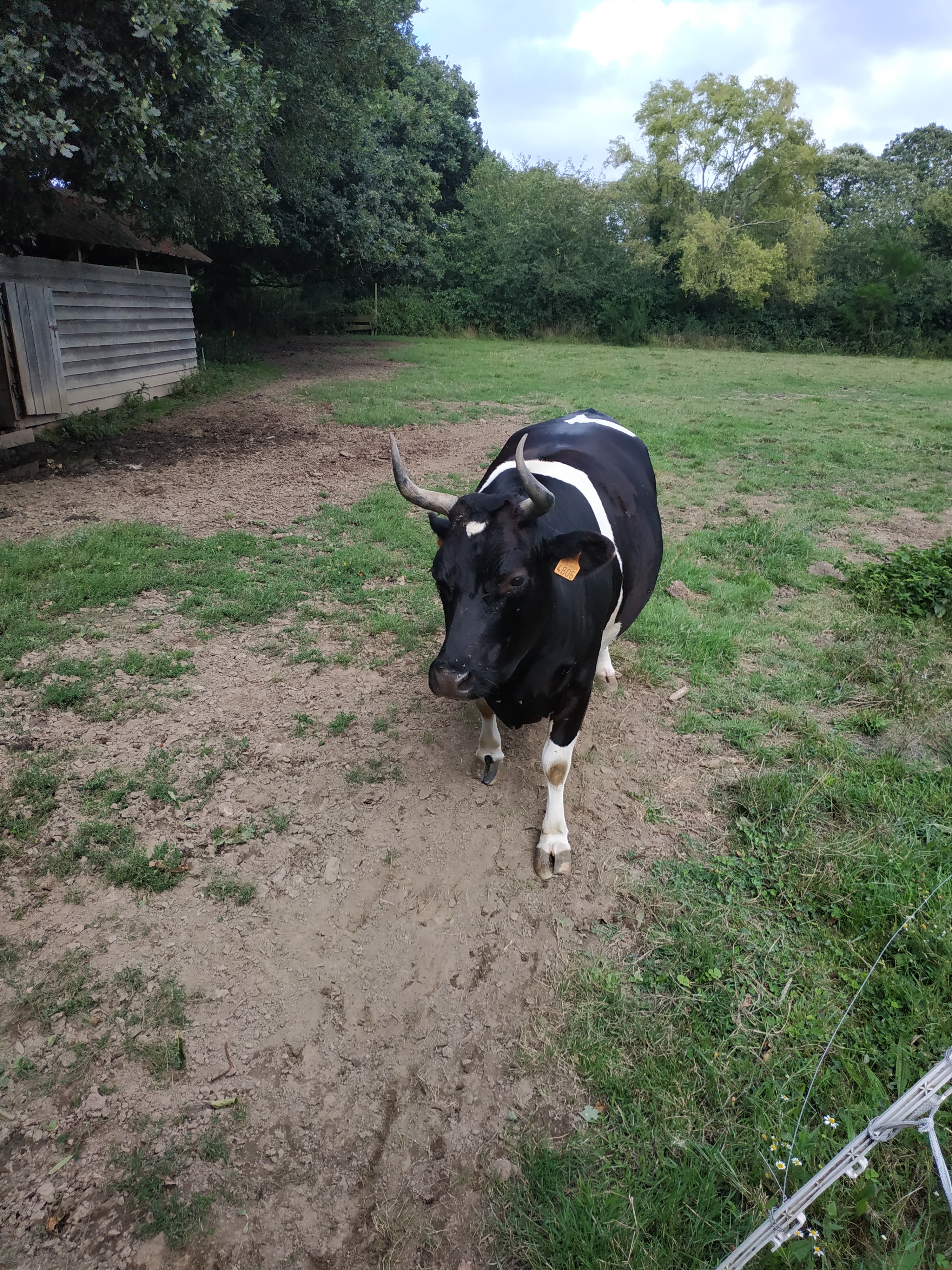 Photo n° 2 de l'avis de Jérôme.e fait le 21/08/2020 à 16:27