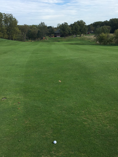 Golf Course «Plym Park Golf Course», reviews and photos, 401 Marmont St, Niles, MI 49120, USA