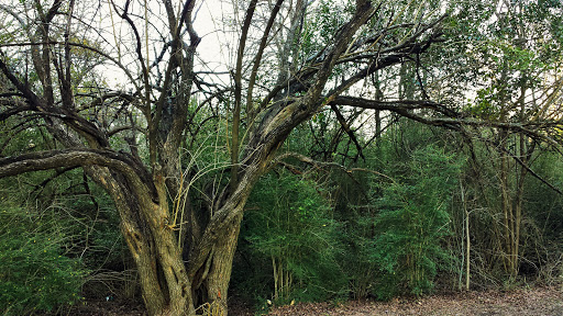 Health Insurance Agency «Blue Cross and Blue Shield of Texas», reviews and photos