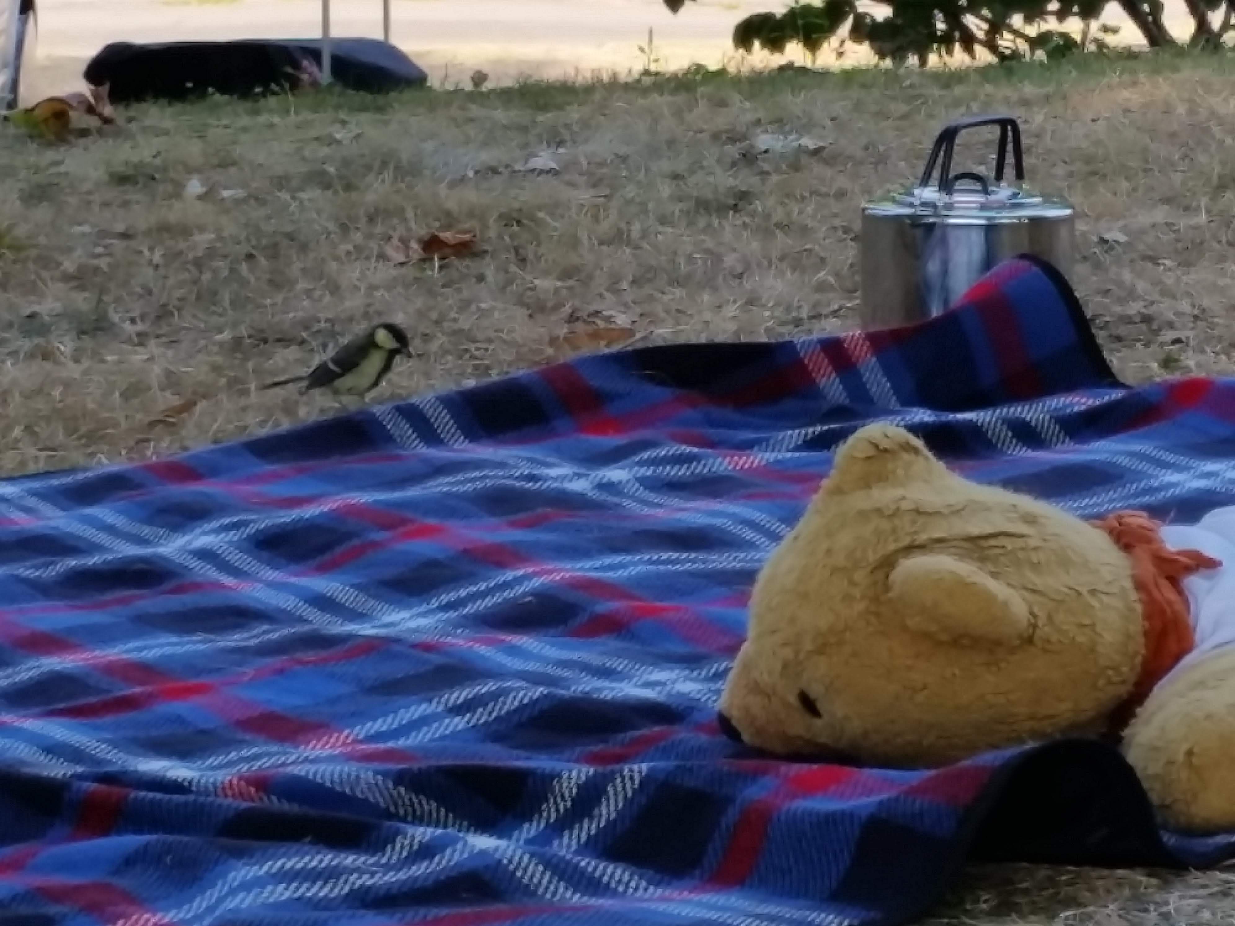 Photo n° 1 de l'avis de Dede.r fait le 13/08/2018 à 07:58