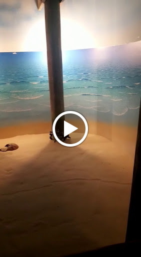 Tourist Attraction «Atlantic City Boardwalk», reviews and photos, 3109 Boardwalk, Atlantic City, NJ 08401, USA