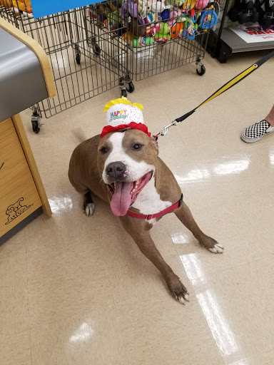 Pet Supply Store «Petco Animal Supplies», reviews and photos, 1753 St Lucie W Blvd, Port St Lucie, FL 34986, USA