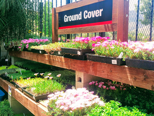 Hardware Store «DIY Home Center», reviews and photos, 28750 Roadside Dr, Agoura Hills, CA 91301, USA