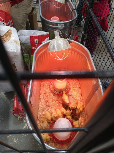 Home Improvement Store «Tractor Supply Co.», reviews and photos, 418 Napa Junction Rd, American Canyon, CA 94503, USA