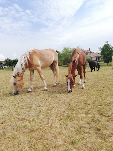 Equi'libre à Coolus