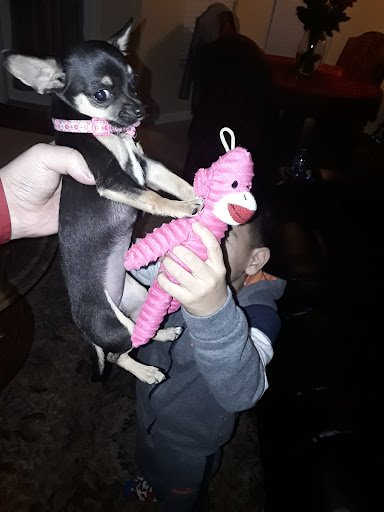 Movie Theater «Cinemark 14 and XD», reviews and photos, 1151 Congress Ave, Boynton Beach, FL 33426, USA