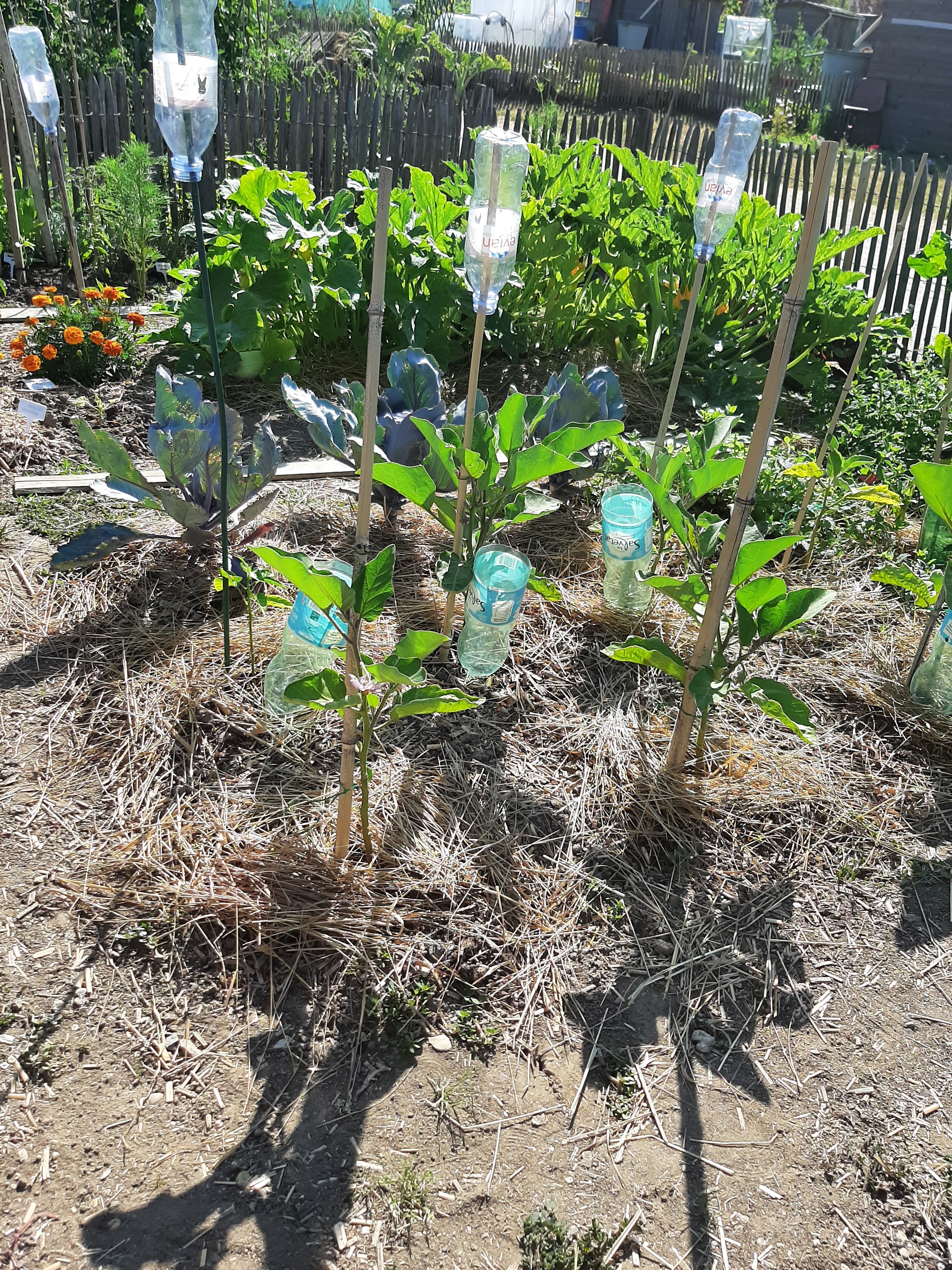 Photo n° 1 de l'avis de catherine.o fait le 24/07/2019 à 14:14