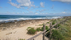 Photo de Spiaggia Valdaliga avec un niveau de propreté de sale