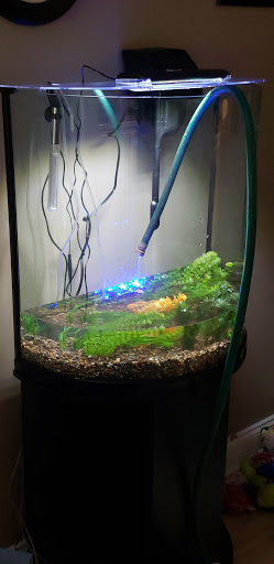 Pet Supply Store «Pet Supplies Plus», reviews and photos, 26230 Hoover Rd, Warren, MI 48089, USA