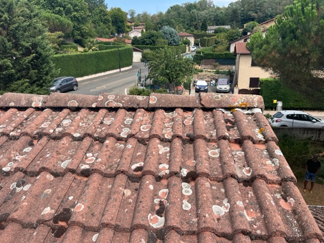 Photo n° 1 de l'avis de manu.d fait le 10/10/2022 à 10:34