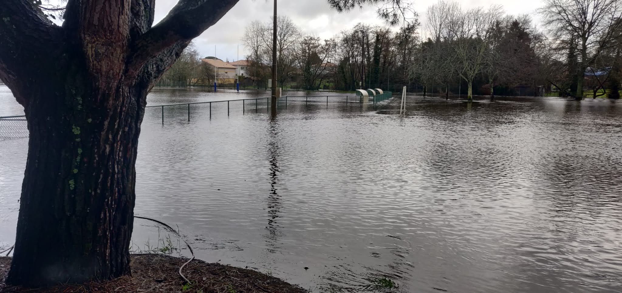 Photo n° 25 de l'avis de Dominique.a fait le 16/02/2020 à 17:43