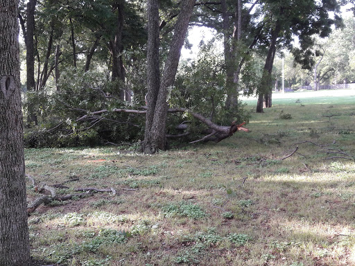 Park «Clarence Foster Park», reviews and photos, 4400 Woodland Park Blvd, Arlington, TX 76013, USA