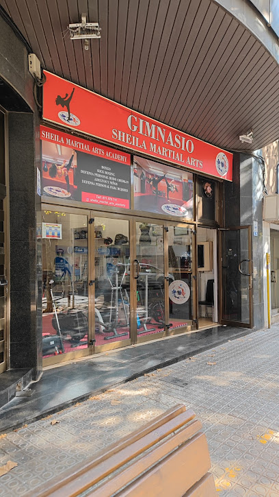 Sheila Martial Arts Academy - Av. de Jaume Balmes, num. 18, 08800 Vilanova i la Geltrú, Barcelona, Spain