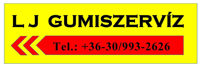 LJ Gumiszervíz - Devecser