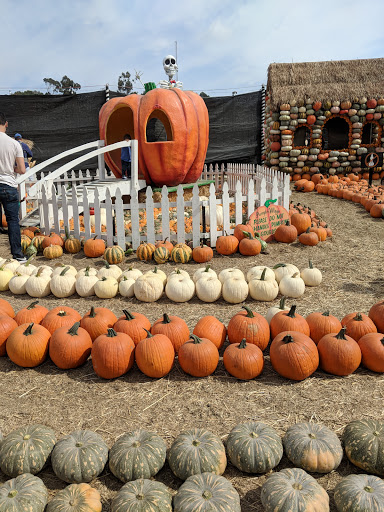 Pumpkin patch El Monte