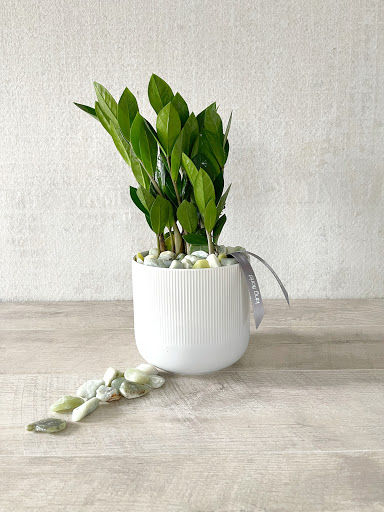 Florist «King florist of Austin», reviews and photos, 1806 W Koenig Ln, Austin, TX 78756, USA