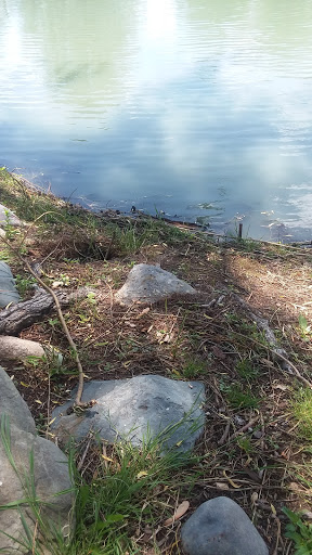 Park «Wahby Park», reviews and photos, 24800 Jefferson Ave, St Clair Shores, MI 48080, USA