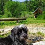 Photo n°2 de l'avis de Ingrid.o fait le 03/06/2023 à 10:16 sur le  Vesperstube Vogtsmichelhof - Marianne Frey à Alpirsbach