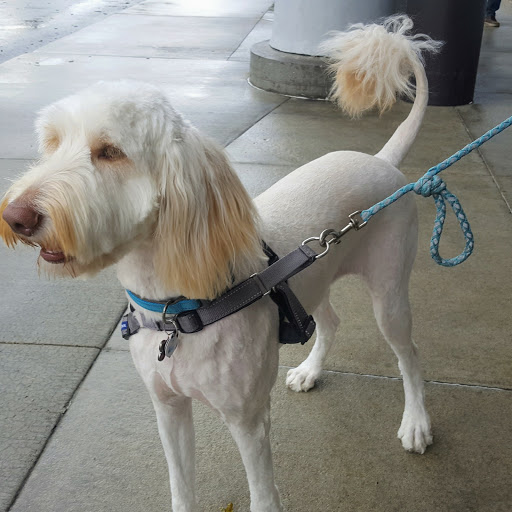 Pet Supply Store «PetSmart», reviews and photos, 2216 E Springs Dr, Madison, WI 53704, USA