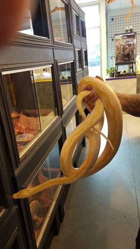 Pet Store «Exotic Pets», reviews and photos, 2410 N Decatur Blvd #160, Las Vegas, NV 89108, USA
