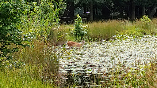 Golf Course «Green Tree Golf Course- John F. Gaffney», reviews and photos, 1030 Somers Point Rd, Egg Harbor Township, NJ 08234, USA
