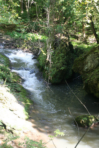 Nature Preserve «Caesar Creek Gorge State Nature Preserve», reviews and photos, 4080 Corwin Rd, Oregonia, OH 45054, USA
