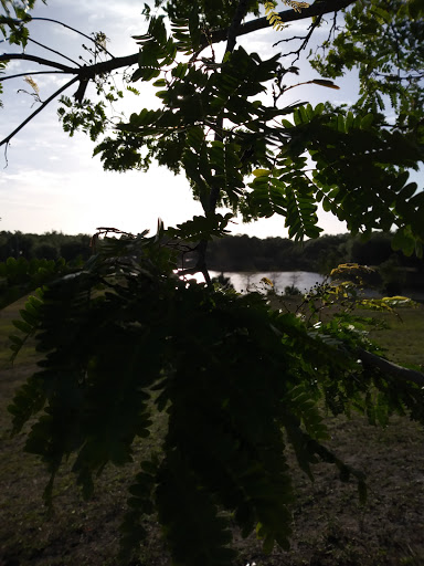 Recreation Center «Estero Recreation Center», reviews and photos, 9200 Corkscrew Palms Blvd, Estero, FL 33928, USA