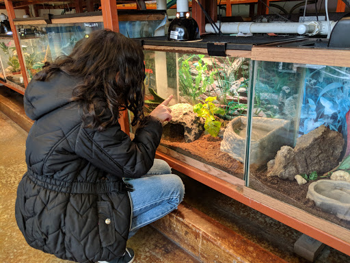 Pet Store «Animal Ark», reviews and photos, 175 S 500 E St, American Fork, UT 84003, USA