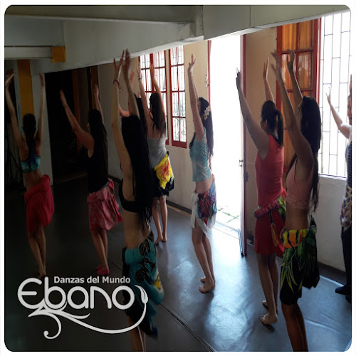 Opiniones de Danza Ebano Ltda. en Ñuñoa - Escuela de danza