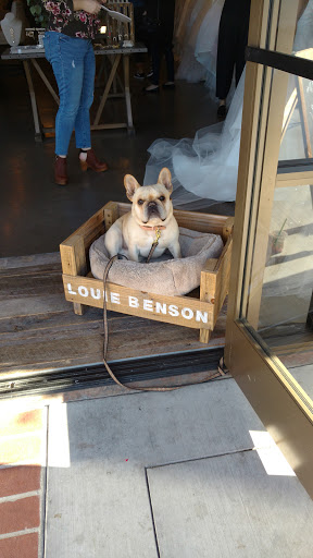 Bridal Shop «Haute Bride», reviews and photos, 40 N Santa Cruz Ave, Los Gatos, CA 95030, USA