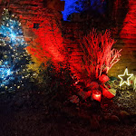Photo n°8 de l'avis de Sascha.r fait le 27/11/2021 à 19:47 sur le  abbaye de Limburg à Bad Dürkheim