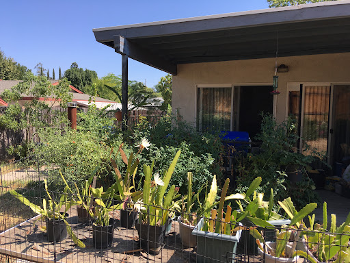 Grocery Store «Grocery Outlet Bargain Market», reviews and photos, 414 Grass Valley Hwy, Auburn, CA 95603, USA