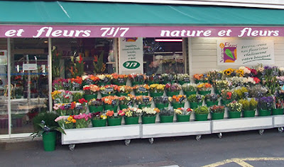 Nature et Fleurs Clermont-Ferrand à Clermont-Ferrand
