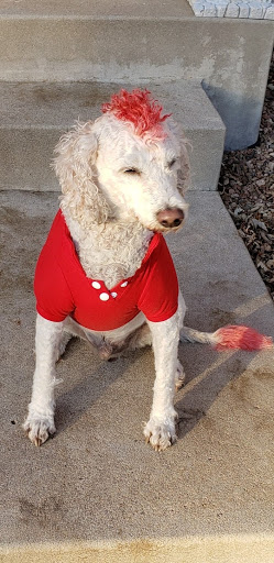 Auto Insurance Agency «State Farm: John Magoto», reviews and photos