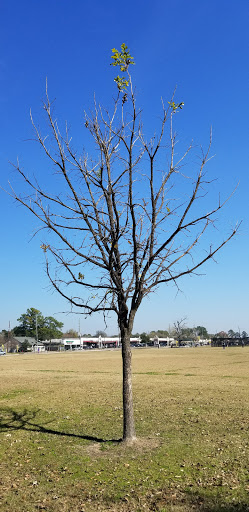 Park «Matzke Park», reviews and photos, 13110 Jones Rd, Houston, TX 77070, USA