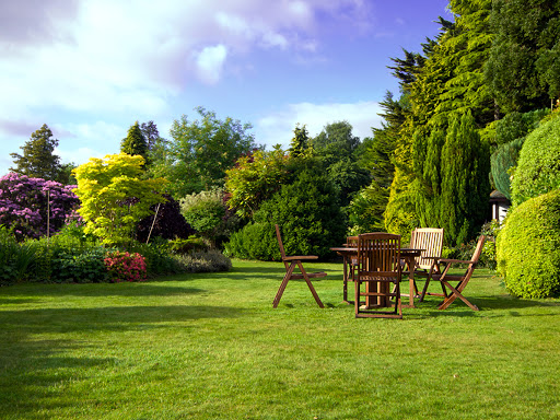 Shoreline Landscaping image 5