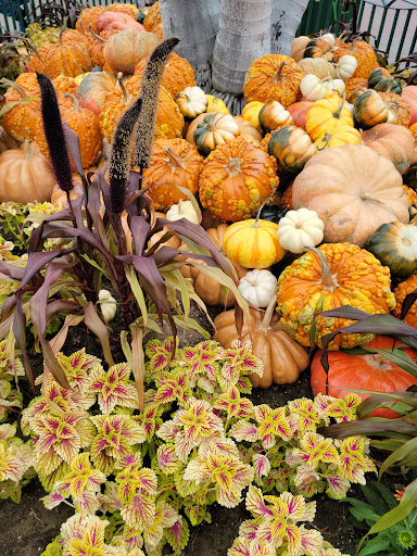 Toy Store «The LEGO Store», reviews and photos, 1585 Disneyland Dr, Anaheim, CA 92802, USA