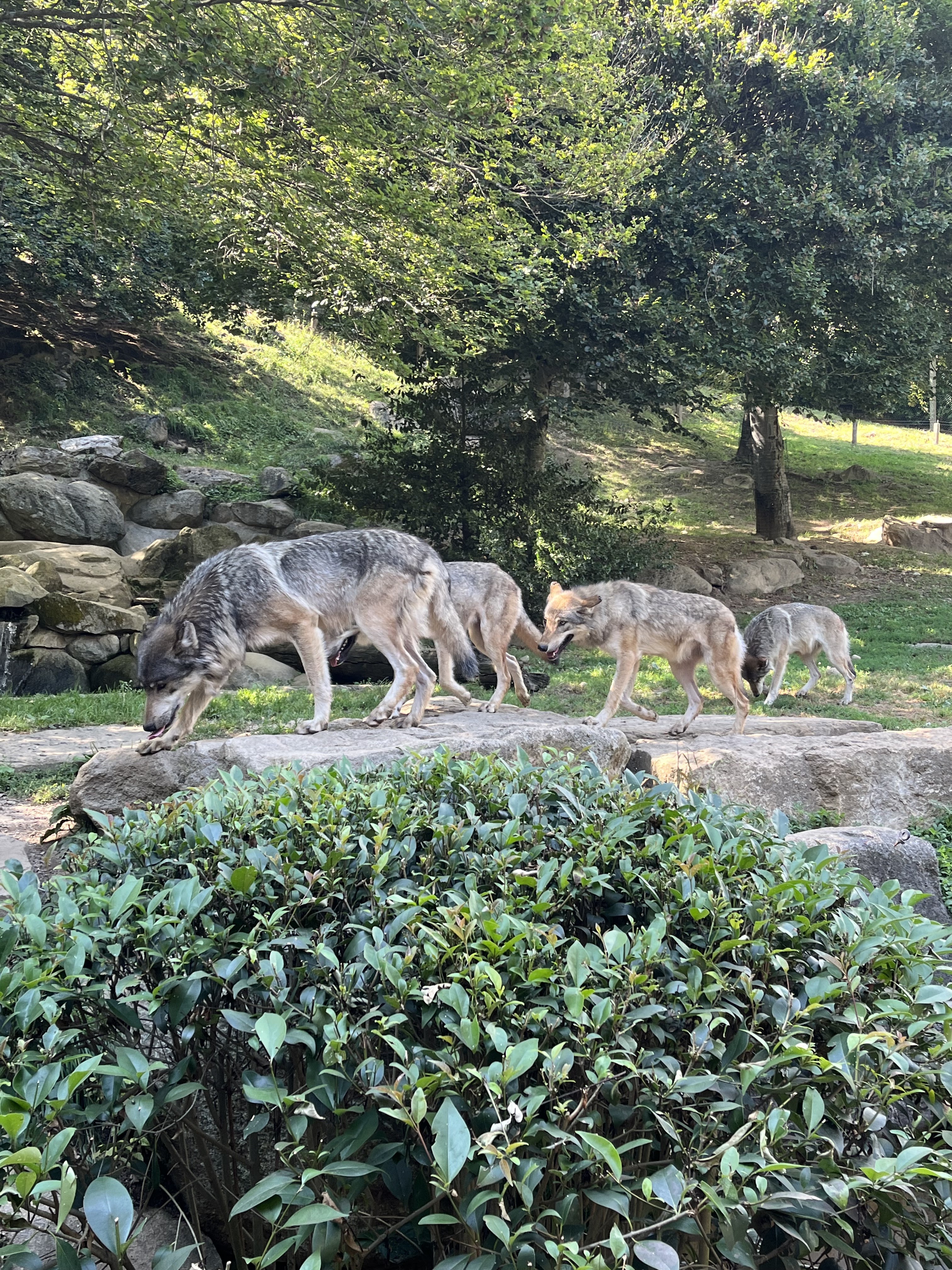 Photo n° 4 de l'avis de alexandra.a fait le 02/08/2023 à 16:52